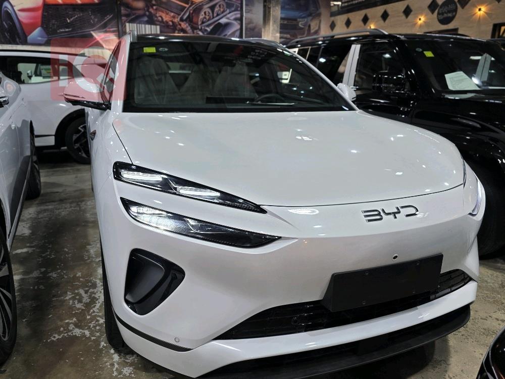 بي واي دي سيليون 06 DM-i